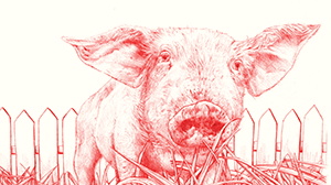 Pig_in_the_garden_feature_size